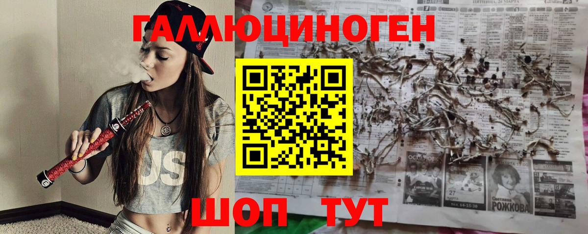 Спасск-Дальний  Галлюциногенные грибы MAGIC MUSHROOMS  Вход с VPN 
